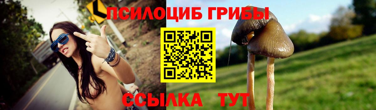 Псилоцибиновые грибы GOLDEN TEACHER  Вход с VPN  Егорьевск 